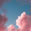 sophia_labruno